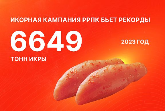 俄罗斯渔业公司的鱼子酱生产创下新纪录