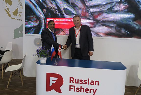 Russian Fishery Company to focus Pacific Herring sales towards Africa